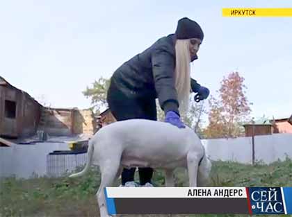 Алена Андерс